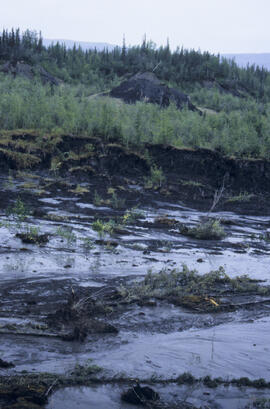 Active 4-yr-old thaw slump (Stuart R, Mayo)