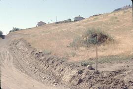New subdivision in Summerland