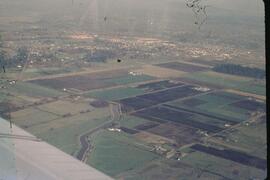 View of crops in organic soil in the Lower Fraser Valley from the air