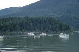 Fishing boats at Balfour