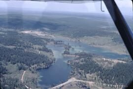 Aerial view of a forest and lake in the Cariboo