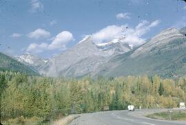 Coleman Mountain