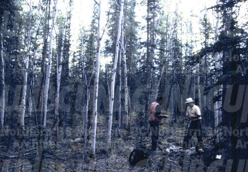 Original Digital object not accessible