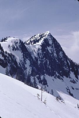 Snowscapes of the Lions