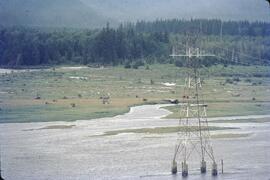 Hydro utility poles crossing estuary