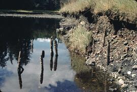 Fish traps in the water at Slim Inlet in the Queen Charlotte Islands