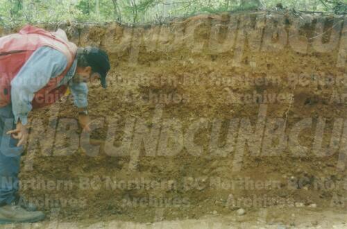 Original Digital object not accessible