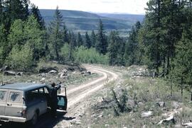 Chilcotin forest landscape near Redstone