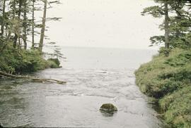 Tsusiat Falls on the West Coast Trail