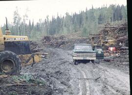 Logging operation at Natlan Creek