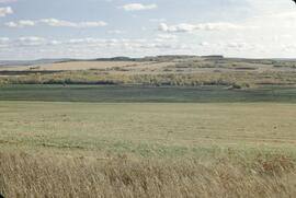 Farmlands at Kilkerran