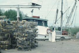 Fishing harbour in the Delta-Richmond area