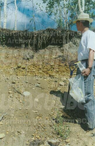 Original Digital object not accessible