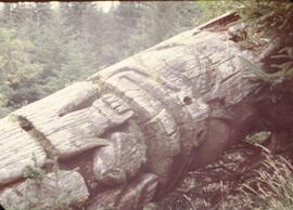 Ninstints totem poles at Anthony Island