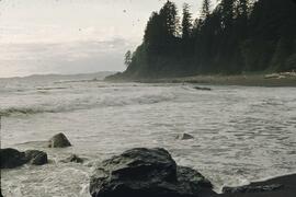 Shoreline at southern area of Mabens Beach