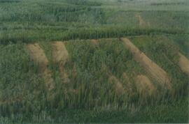 Aerial views (E 15 Mile to Rock Ck) - 16