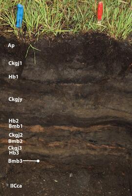 BC12-15 soil profile (annotated)
