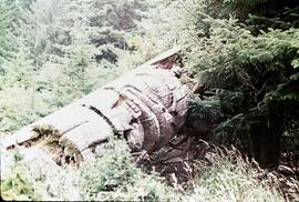 Ninstints totem poles at Anthony Island