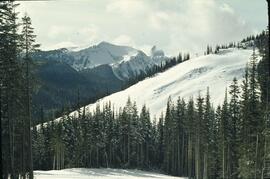 Manning Park cross-country ski trail to Poland Lake