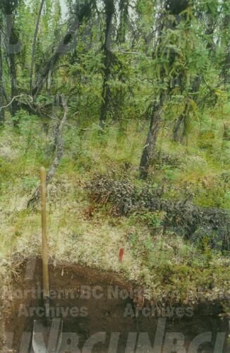 Original Digital object not accessible