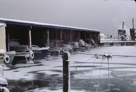 Frozen marina at Kelowna City Park