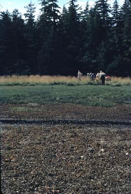University of British Columbia field study group making observations at Slim Inlet in the Queen Charlotte Islands