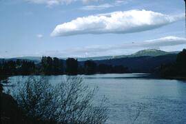 Shuswap River at Grindrod