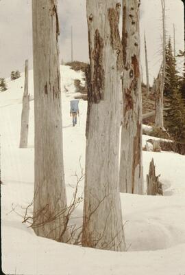 Terry Lewis on the Thurston-Elk-Mercer trail