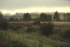Lillooet orchard near Fort Langley
