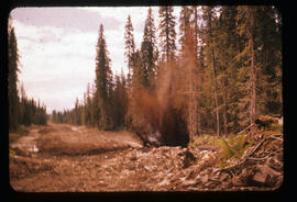 Controlled detonation at Aleza Lake Experiment Station