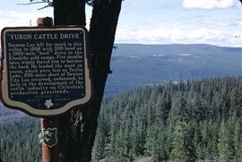 "Yukon Cattle Drive" heritage sign near the Chilcotin River