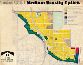 Peden Hill: Medium Density Option