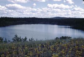 Seeding flowers and lake at Alexis Creek