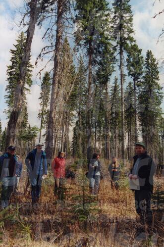 Original Digital object not accessible