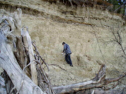 Original Digital object not accessible