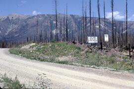 Active logging area sign surrounded by burnt trees north of Donald