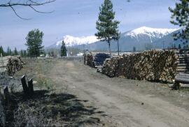 Galloway Lumber Company yard