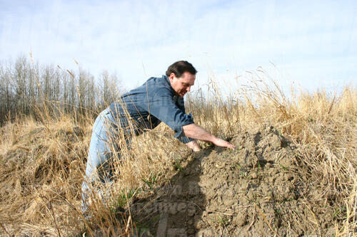 Original Digital object not accessible