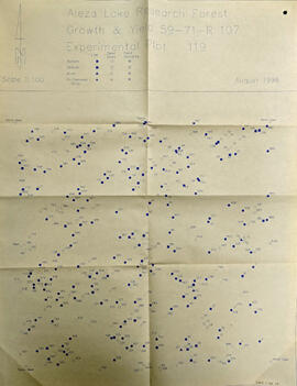 Aleza Lake Research Forest - Growth & Yield 59-71-R 107 - Experimental Plot 119 Map