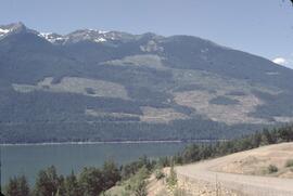 Logging on slopes near Nakusp