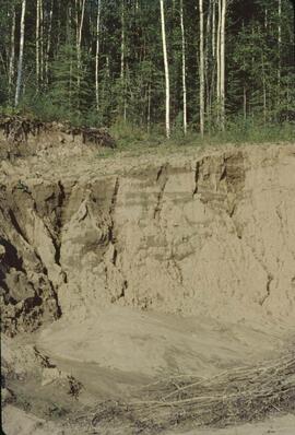 Highly arable soils near Fort Nelson