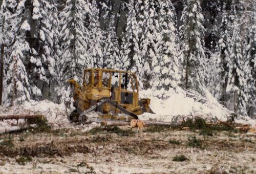 Original Digital object not accessible