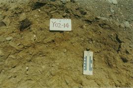 Y02-14 (Rock Ck - lower Luvisol paleosol) - 03