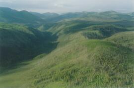 Aerial views (E 15 Mile to Rock Ck) - 07