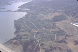 Aerial view of Oyama orchard