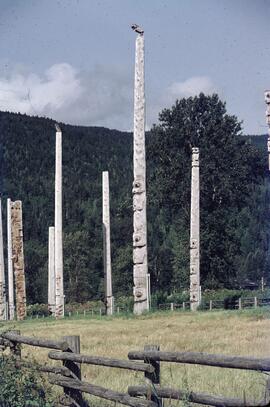 Multiple totem poles at Kispiox