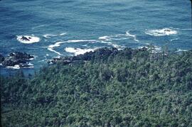 Uplands view of the ocean shoreline at Anthony Island