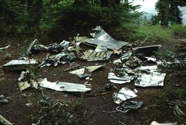 Crashed aircraft debris on Hollyburn Ridge