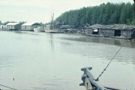 Fishing harbour in the Delta-Richmond area