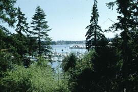 Swartz Bay Marina